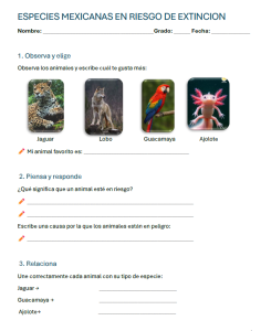 hoja de trabajo primaria sobre especies mexicanas en riesgo de extinción con actividades de observar animales, responder preguntas y relacionar jaguar, lobo, guacamaya y ajolote