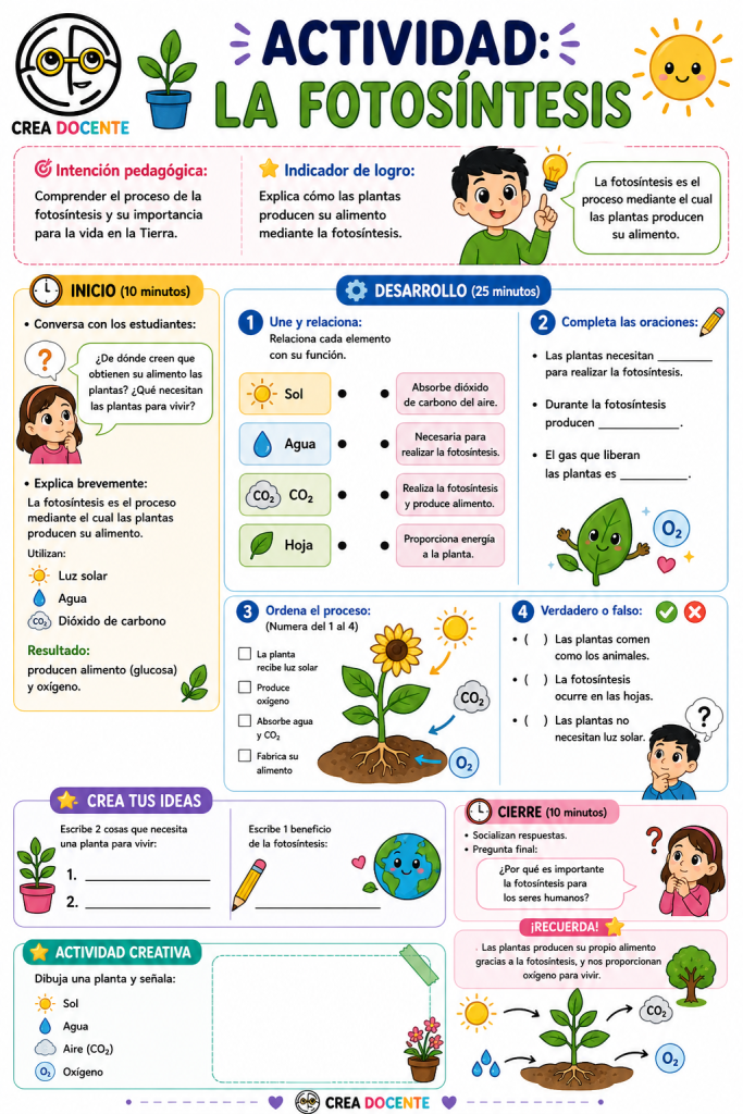 Actividad educativa de la fotosíntesis para primaria con ejercicios.